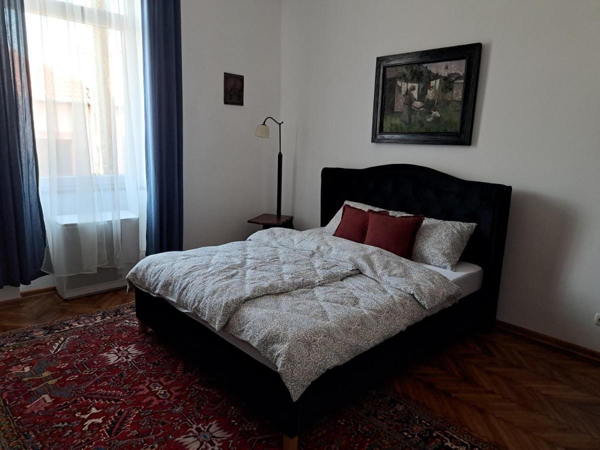 Weisz Apartment-City Center-Free Private Parking,Wifi,Ac Carei Εξωτερικό φωτογραφία