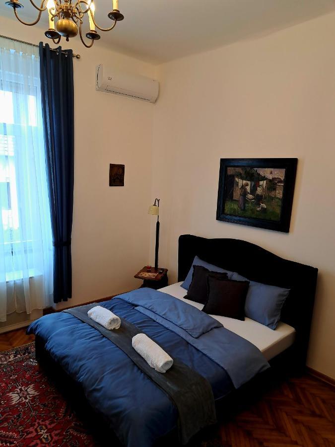Weisz Apartment-City Center-Free Private Parking,Wifi,Ac Carei Εξωτερικό φωτογραφία